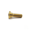 Disk Bolt