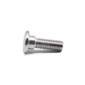 Disk Bolt