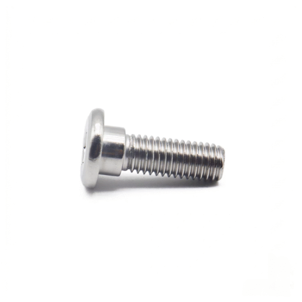 Disk Bolt