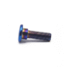 Disk Bolt