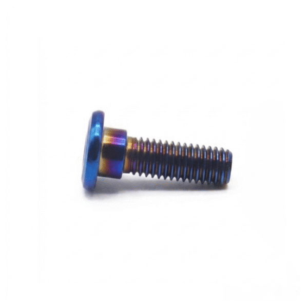 Disk Bolt